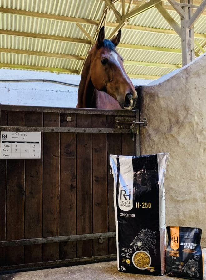 compléments alimentaires équilibre digestif cheval