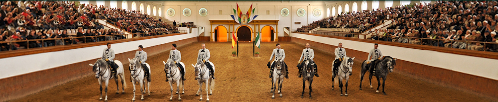 ecole royale andalouse art equestre