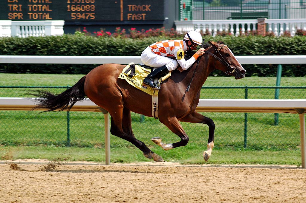 English Thoroughbred Mare