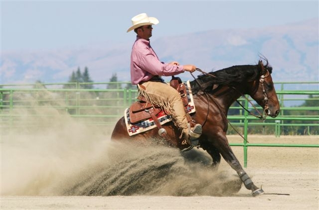 equitation western avec un cavalier à selle western 