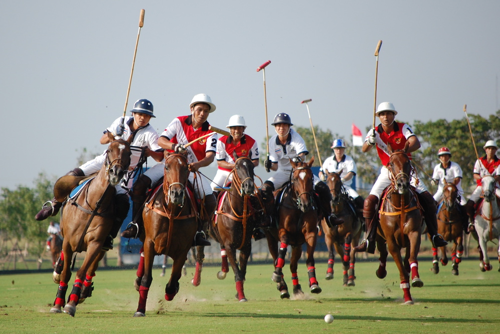 partie de polo à cheval 