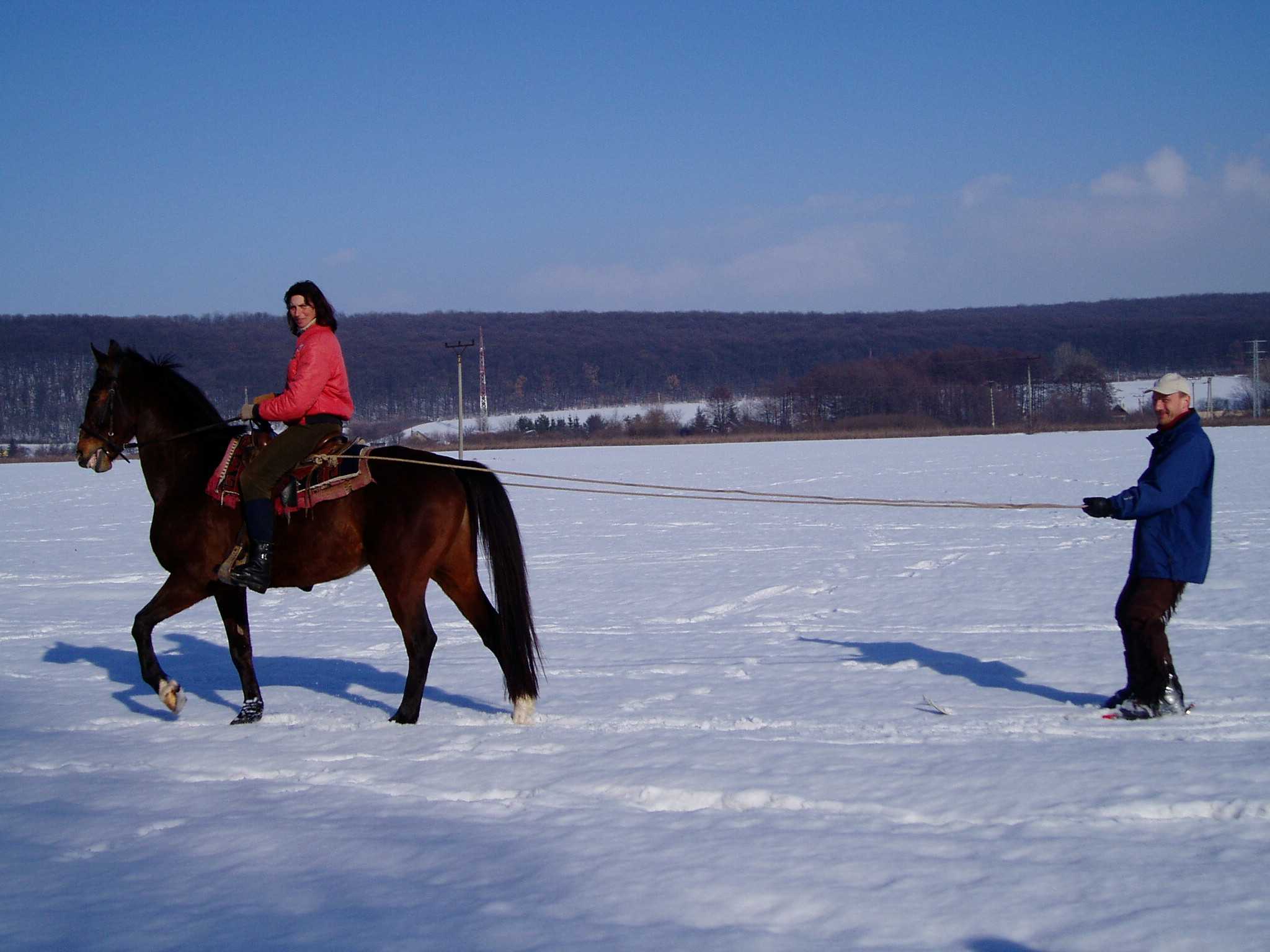 Harnais de ski-joering