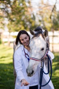 recherche et développement alimentation cheval