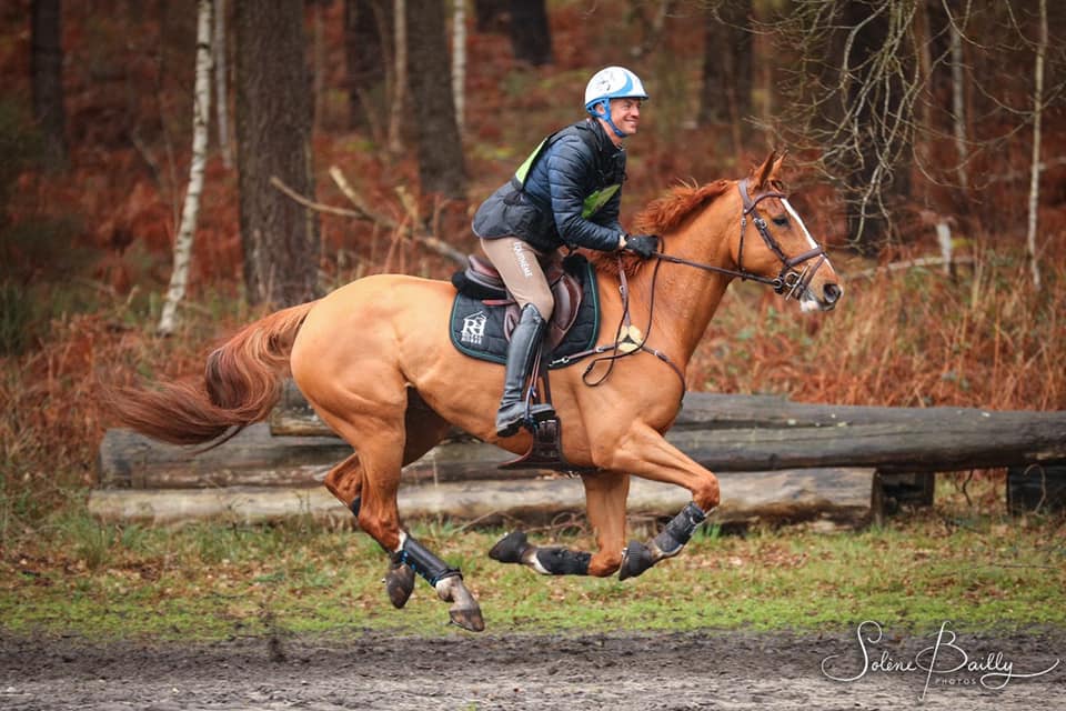 Karim Laghouag cavalier royal horse