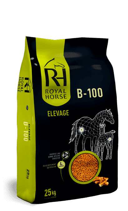 B-100 : Aliment granulé pour chevaux d’élevage