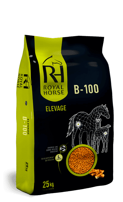 B-100 : Pelleted feed for breeding horses