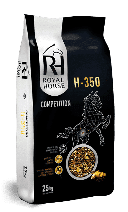 What feed for reining horses?