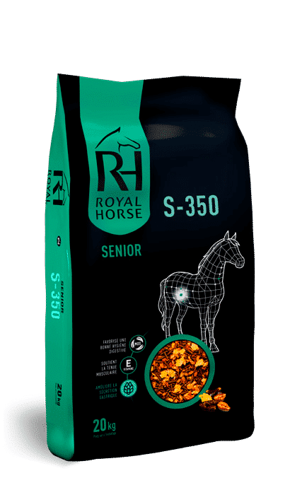 How should I feed my older horse?