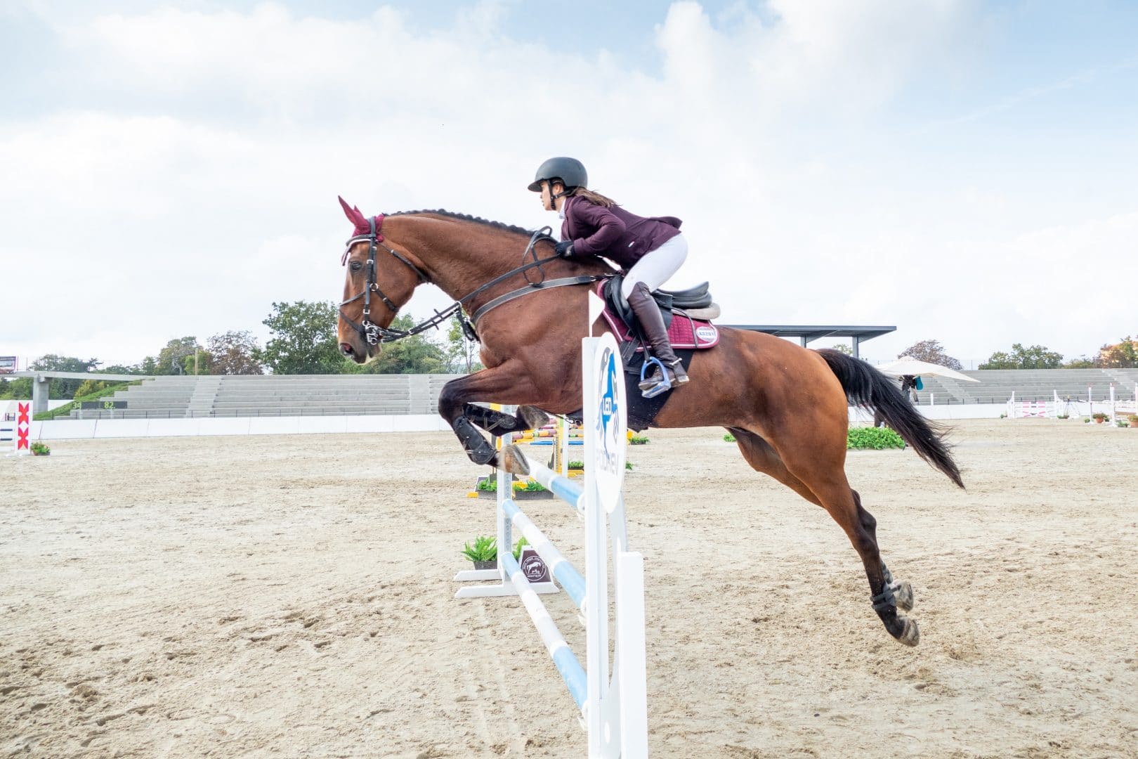 cavalo recuperação desempenho C600