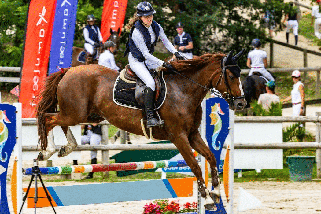 alimentation cheval concours