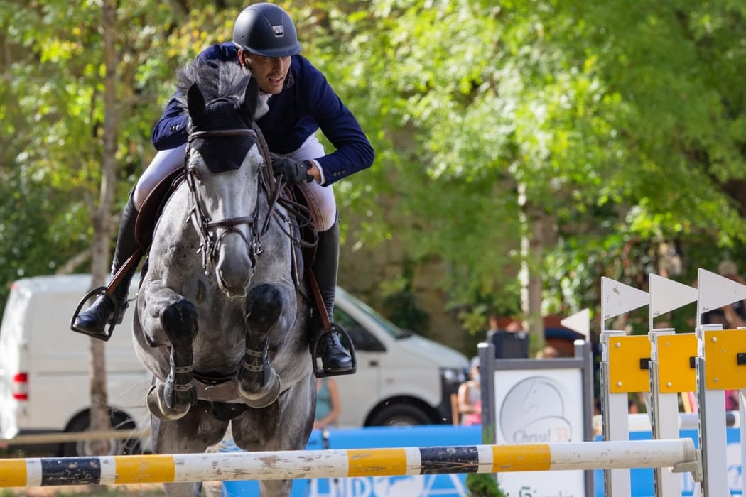 antioxidante para cavalos