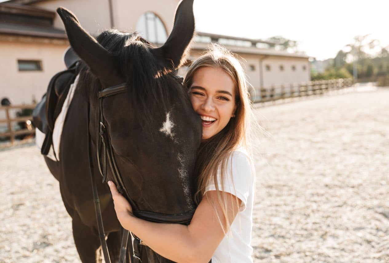 horse health wellness