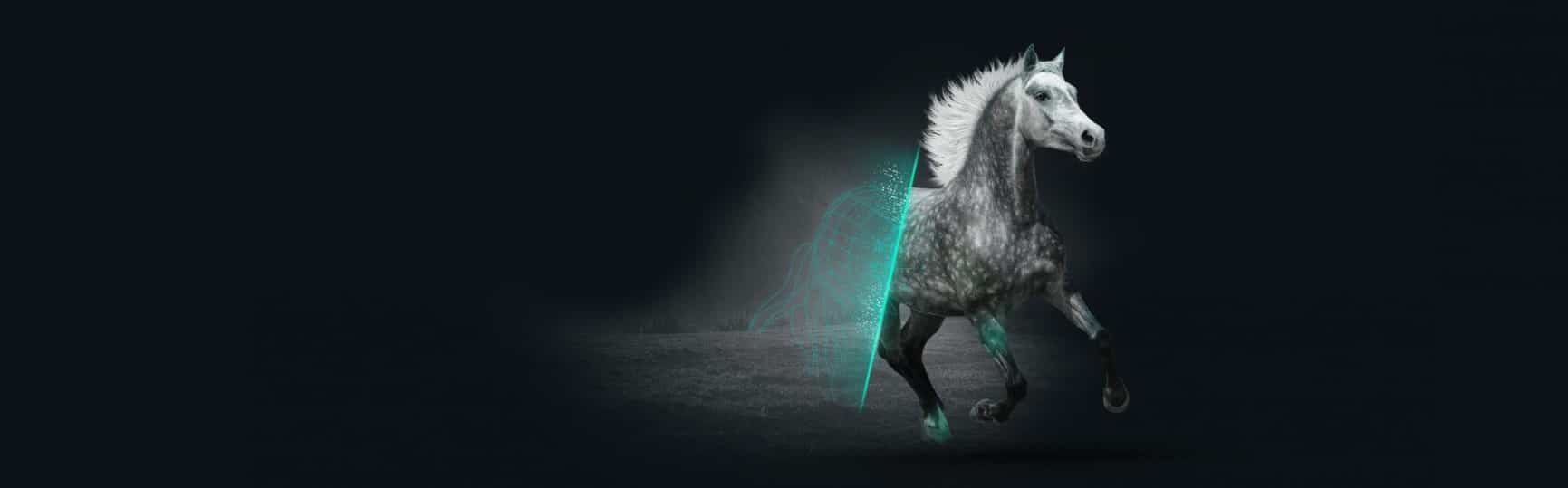 International leader in horse nutrition - Royal Horse