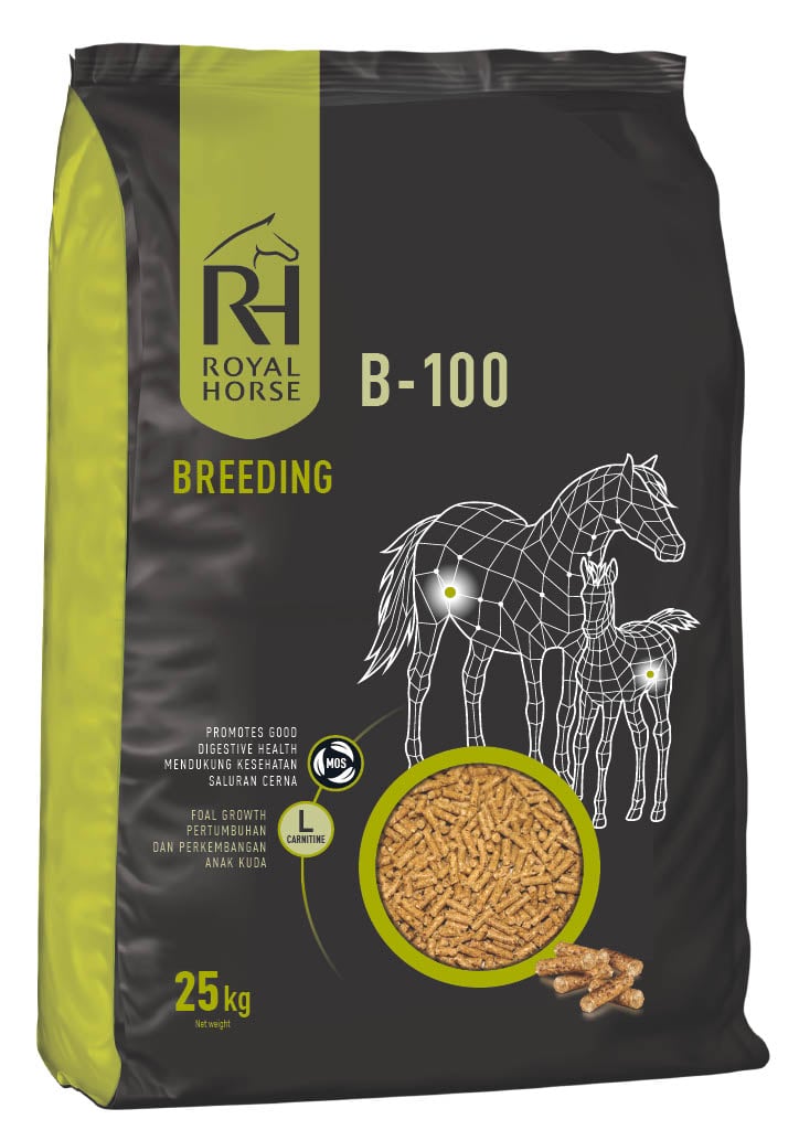 B-100 : Pelleted feed for breeding horses