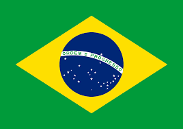 royal horse brazil flag