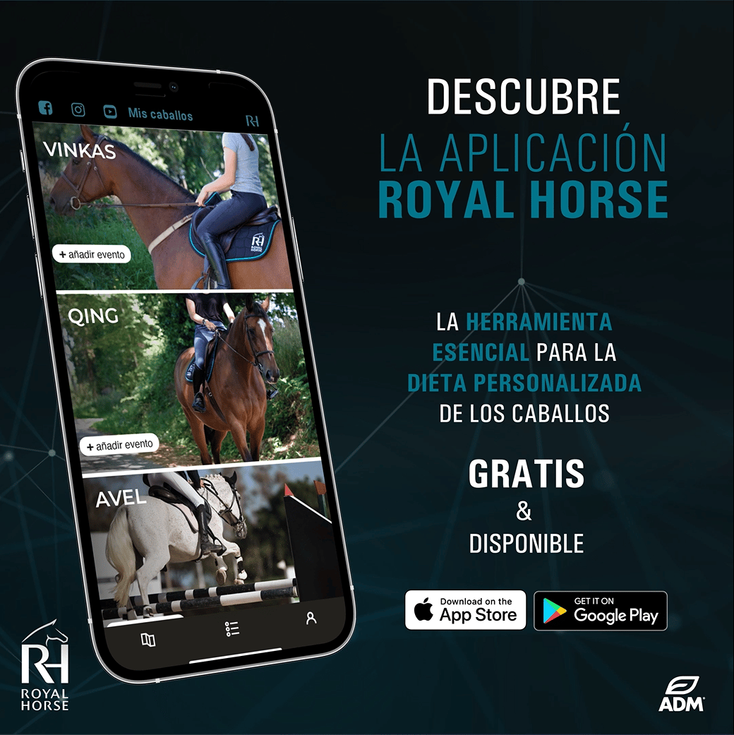 Royal Horse application
