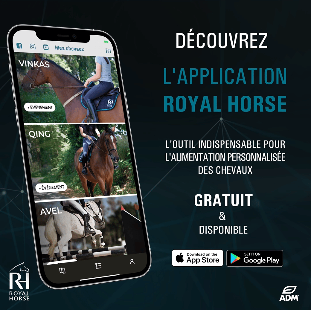 Les 10 meilleures applications du monde du cheval - Royal Horse