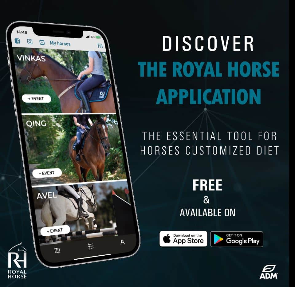 Royal Horse application