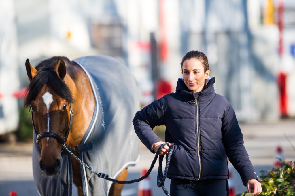 assurance pour cheval 